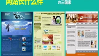 网站建设 从零到一的全面指南