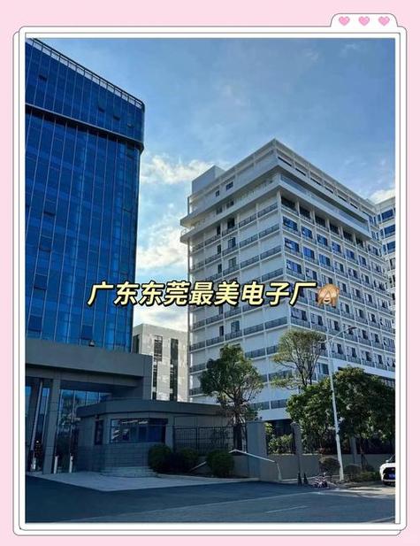 横沥网站推广什么公司好